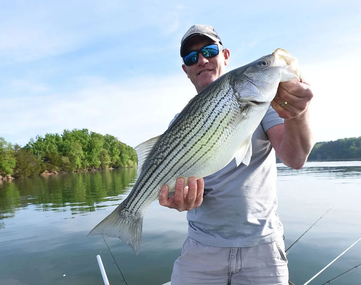Beaver Lake, AR