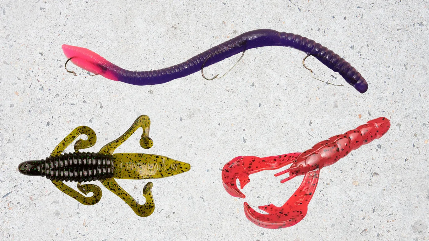 Best Baits for the Texas Rig