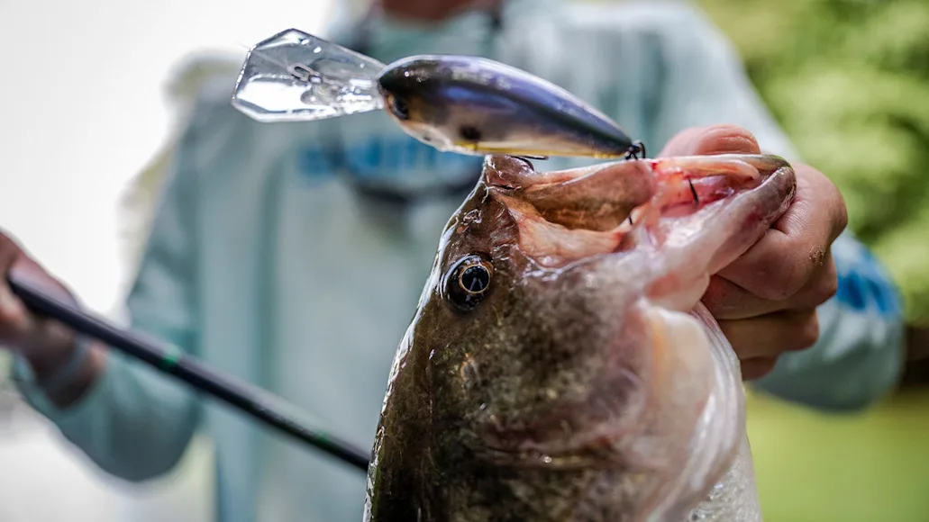 The Rattling Crankbait for bass fishing at night