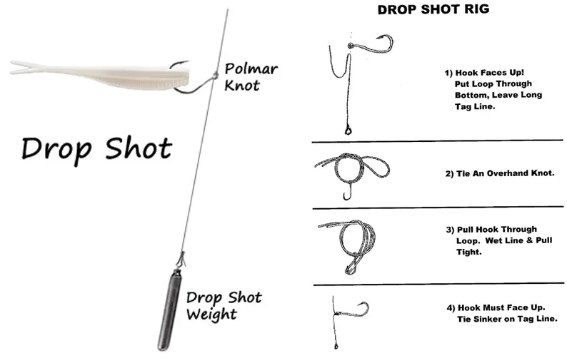 how to set up a Drop-Shot Rig