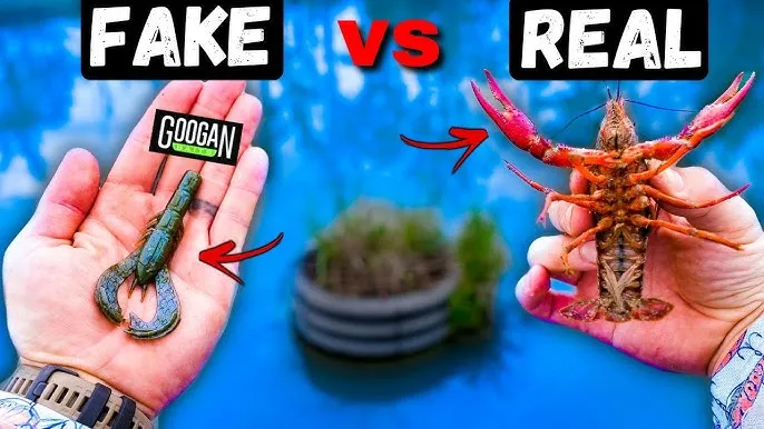 Imitating Crawfish