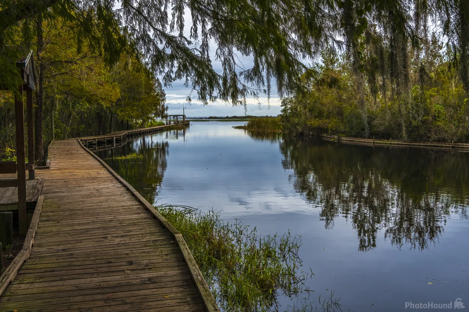 Classic Florida bass fishing among lily pads on Lake Istokpoga.