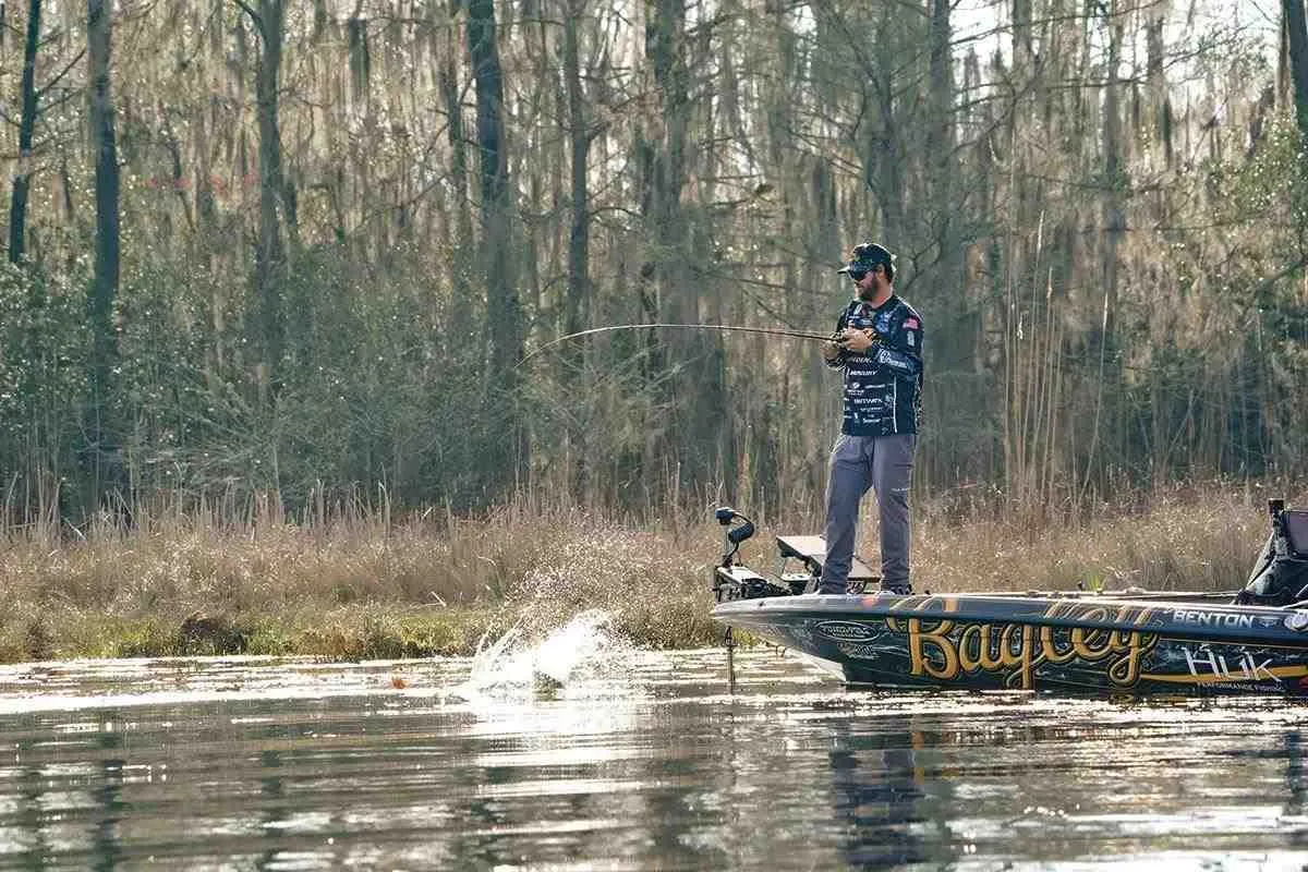 Fishing the unique grass and timber mix of Lake Seminole.