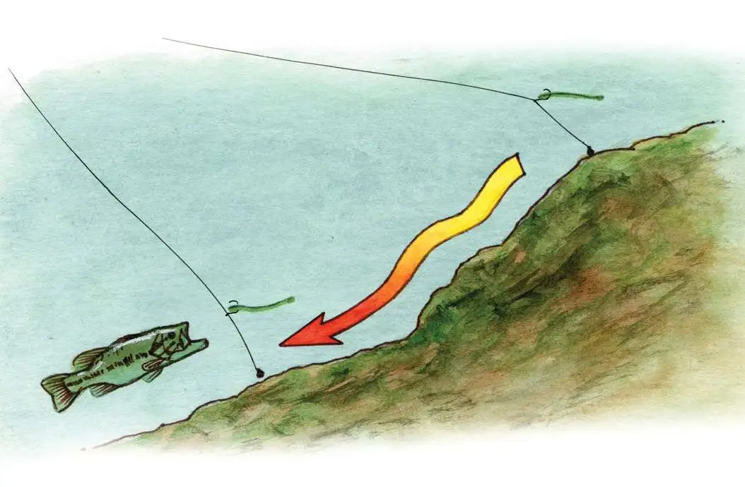 Mastering the Retrieve: 3 Ways to Fish Your Rig