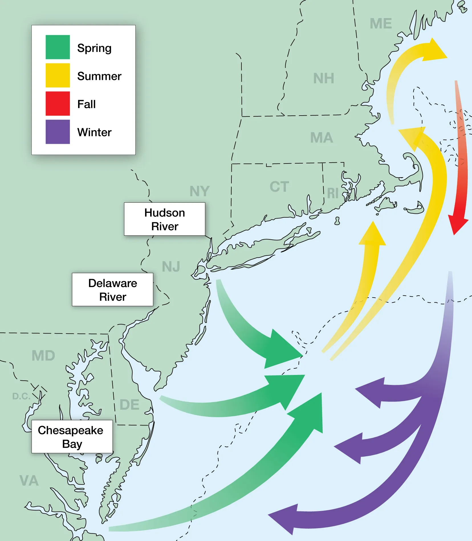 migration map of bass for all the season