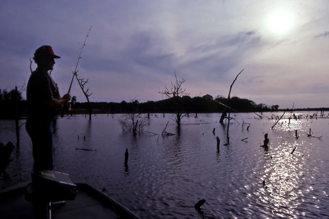 Purtis Creek State Park Lake: The Kayaker's Paradise for bass fishing