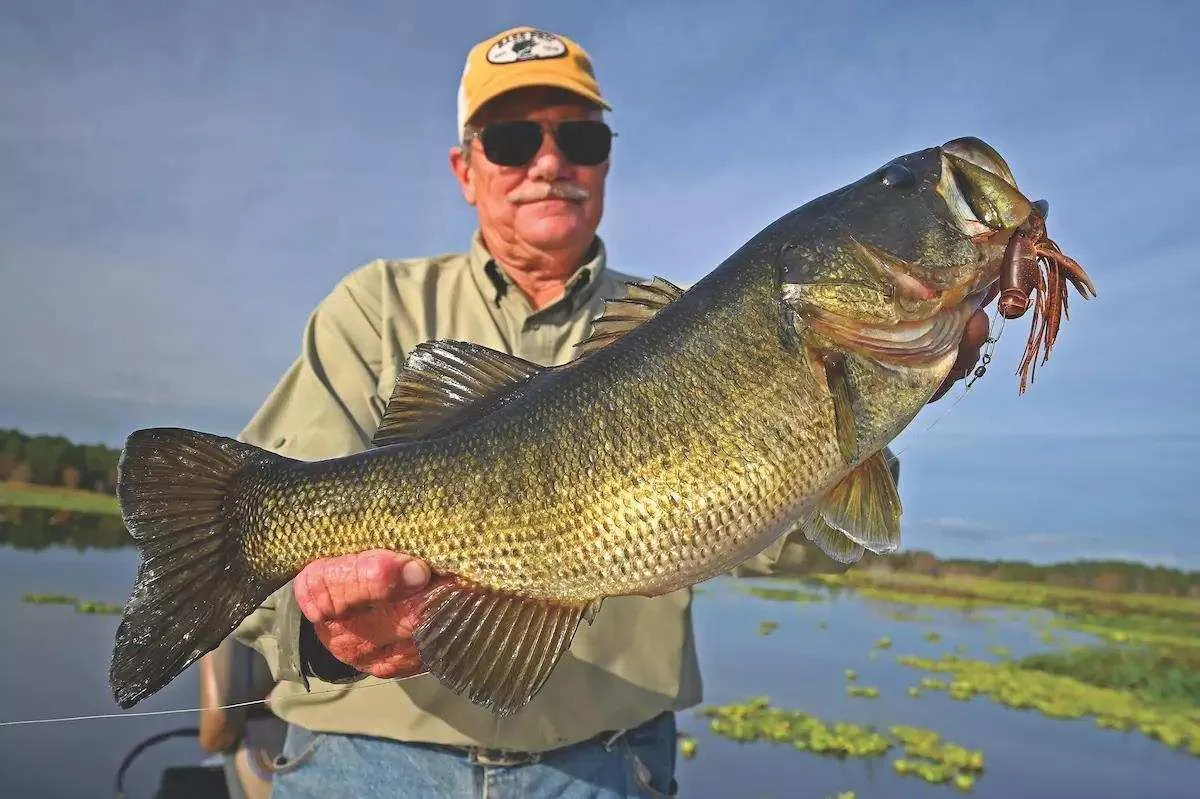 Rodman Reservoir, a top trophy bass lake.