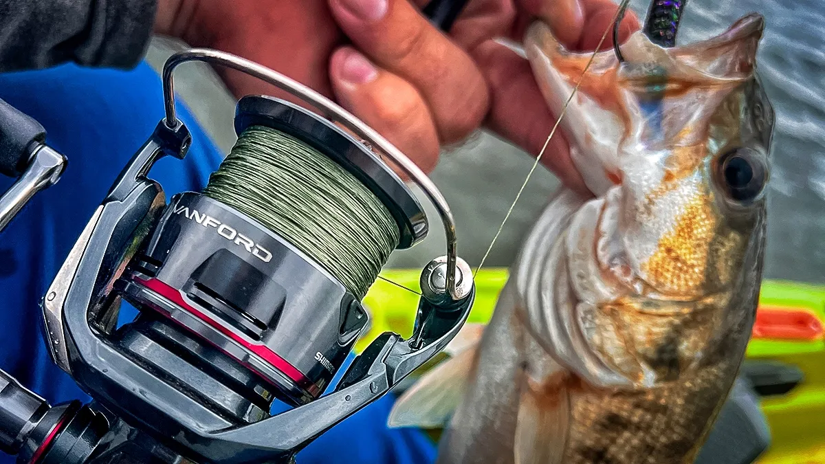 Shimano Vanford 2500 best spinning reel for bass fishing