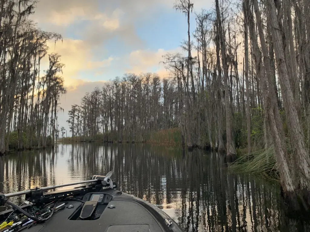 The wild and scenic St. Johns River, a unique Florida bass fishery.