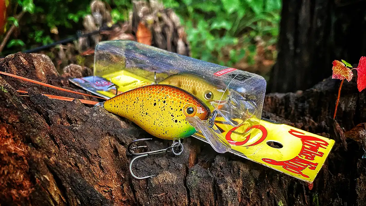 Strike King KVD 1.5 best lures for bass