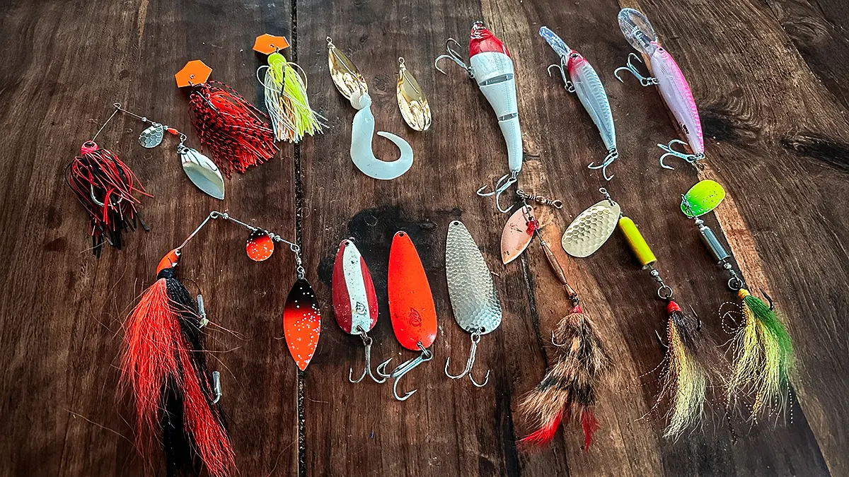 The 4 Elite Lures for Cold Water Bass