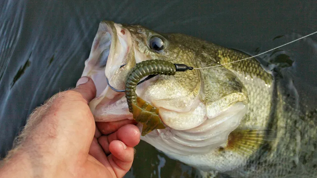 Texas-rigged creature bait