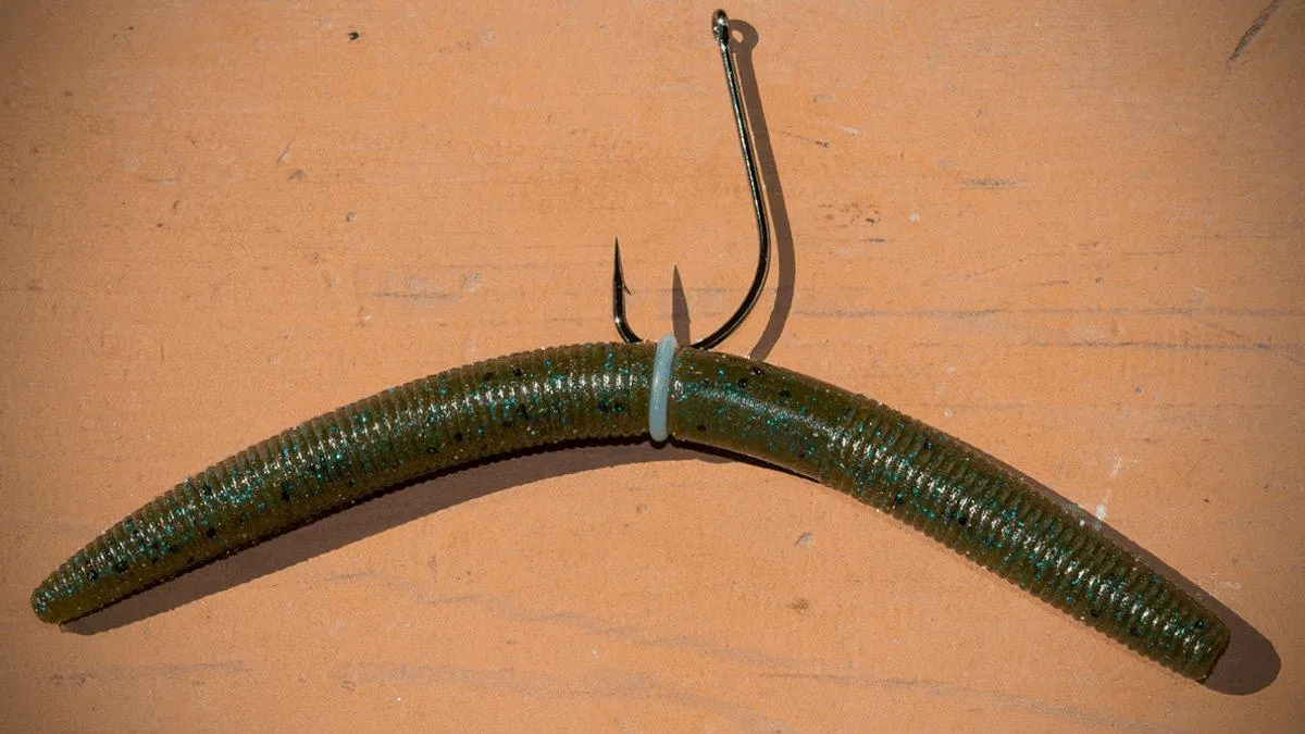 best bass fishing rigs the wacky rig