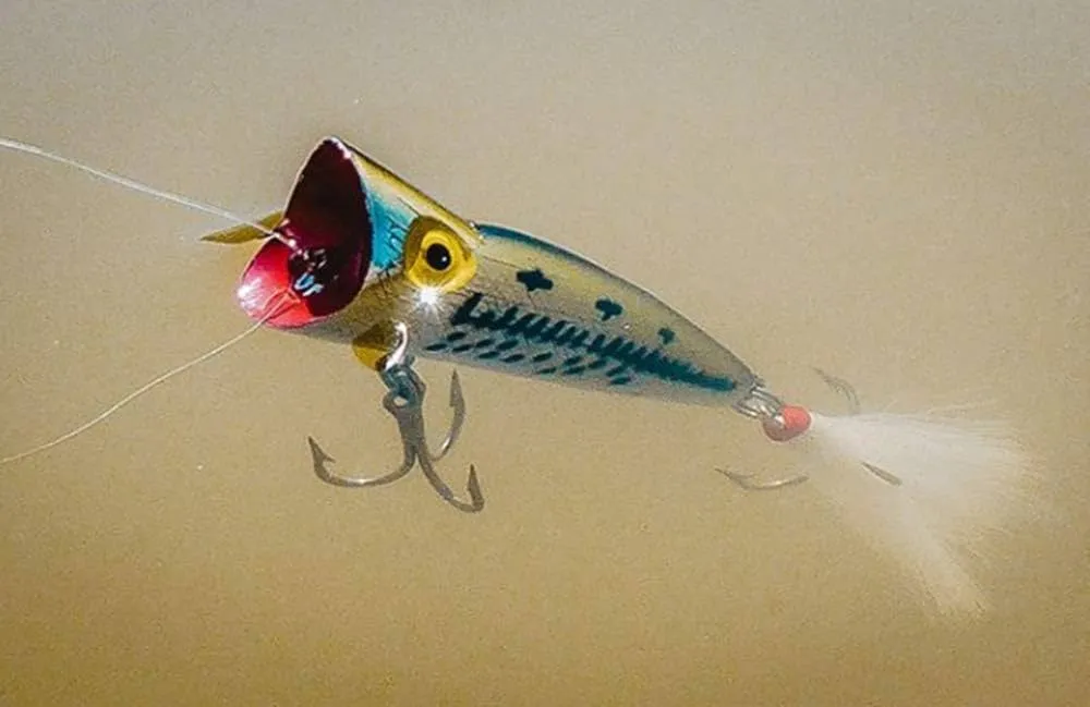 Rebel Pop-R (Popper) for spring bass lure