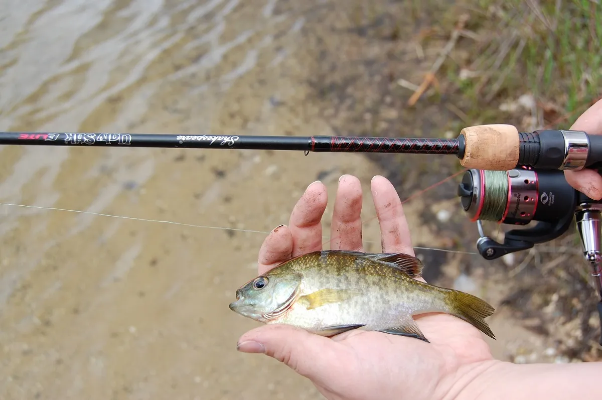 Ugly Stik Elite Spinning Rod