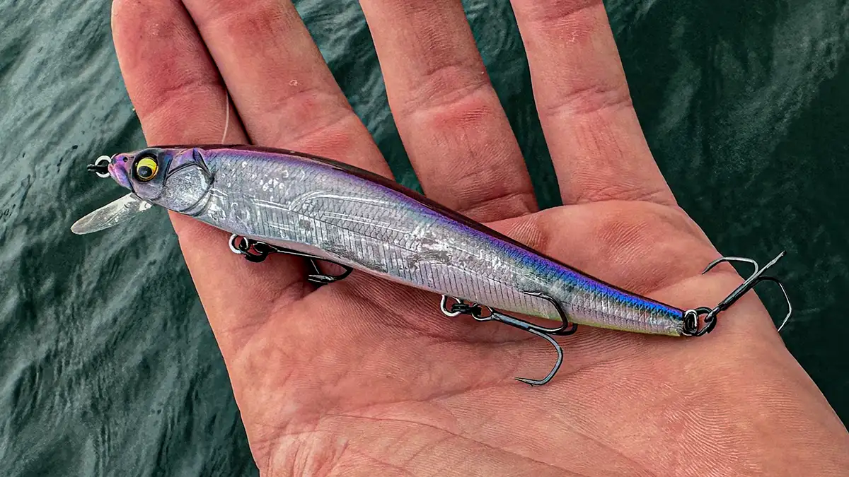 Megabass Vision 110 best lure for bass fishing in fall