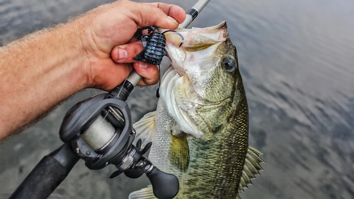 A typical bass fishing setup