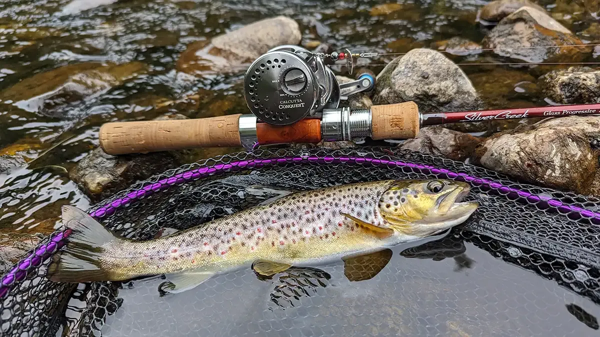 the Key Gear Differences in Bass Fishing vs Trout Fishing