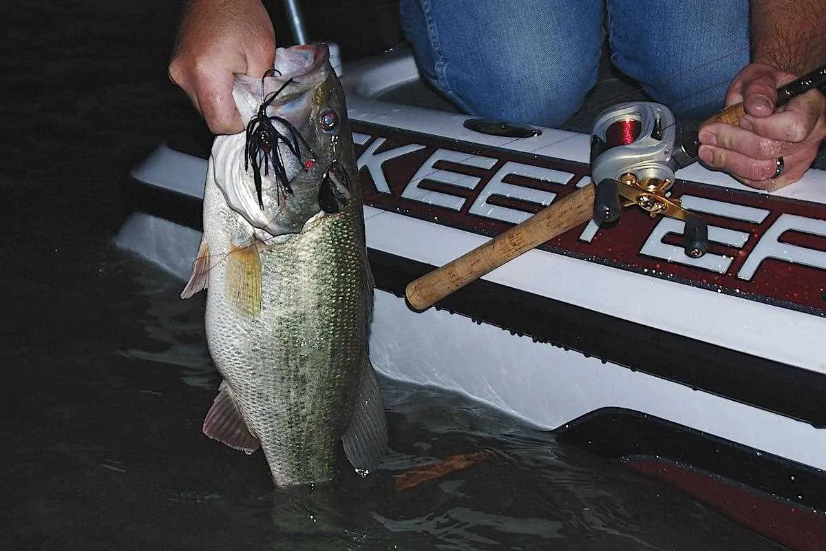 post-Bass Fishing at Night: The Ultimate Guide for Anglers