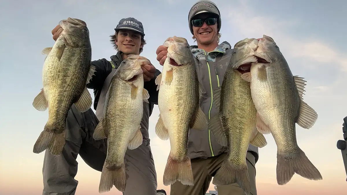post-The 10 Best Bass Fishing Lakes in Florida: A Pro's Guide for 2025