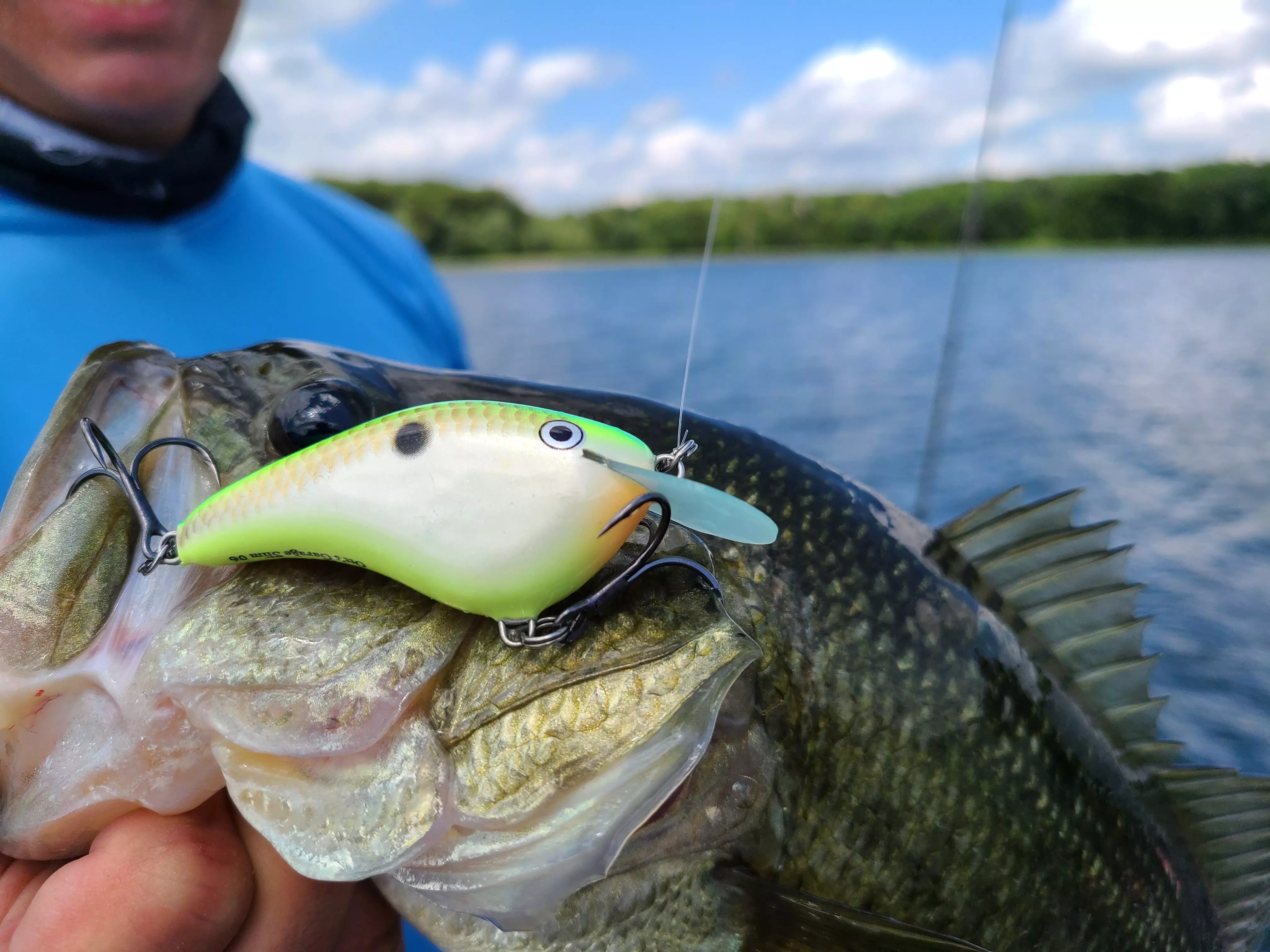 post-10 Best Bass Fishing Lures That Actually Work (2025 Guide)