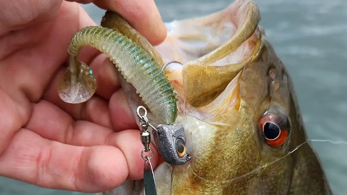 Paddle Tail best fishing lures for bass in spring