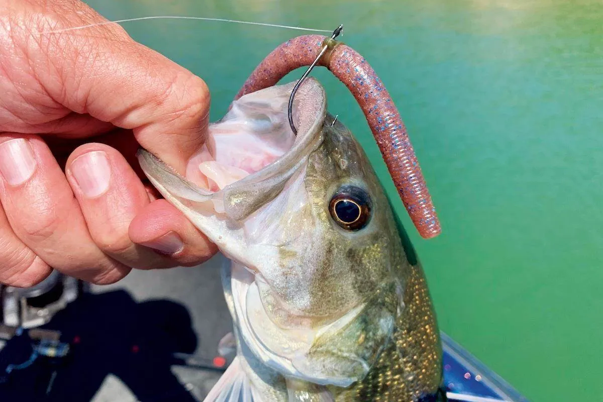 Senko jig for fishing spring bass