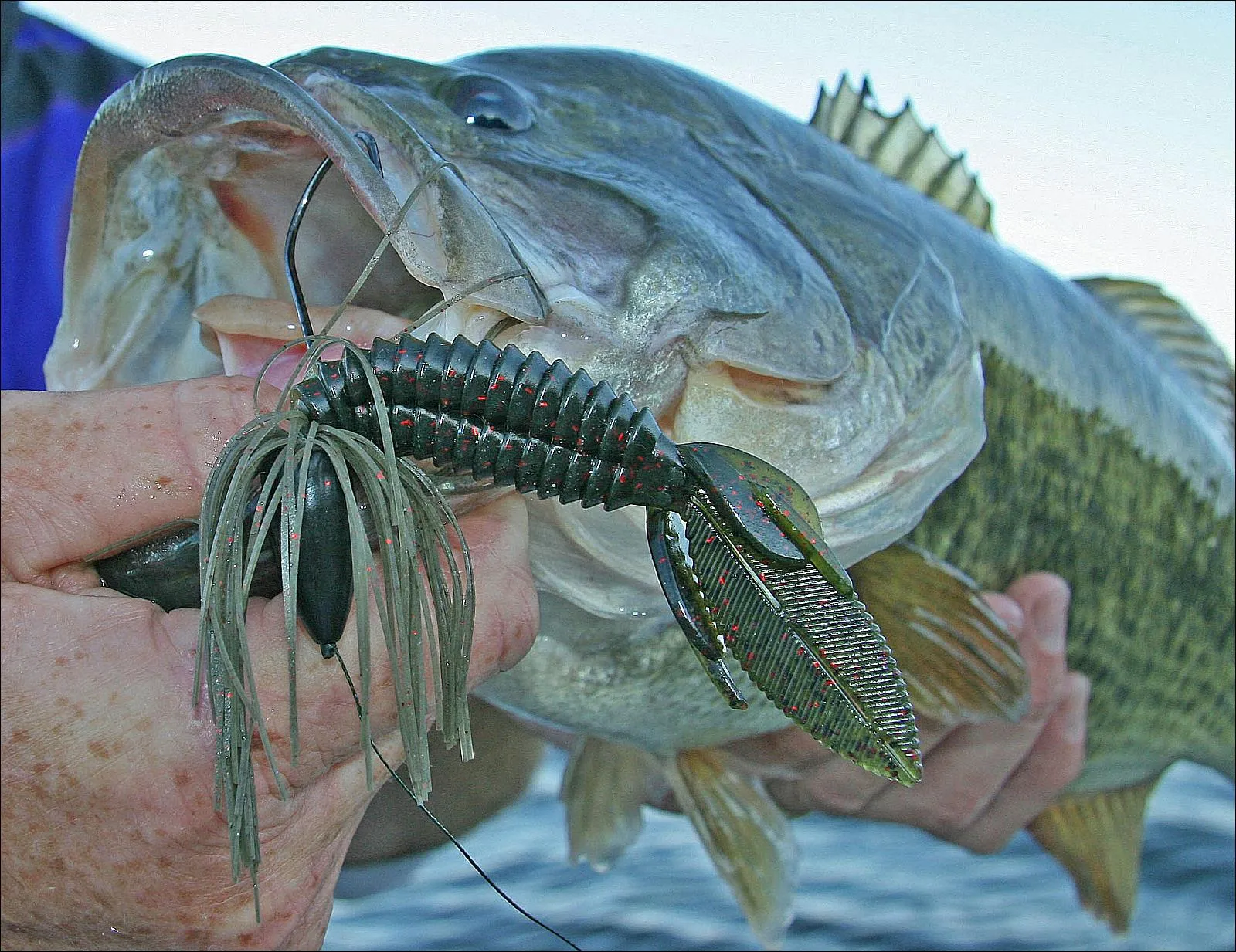 The Punching Rig best largemouth bass lures