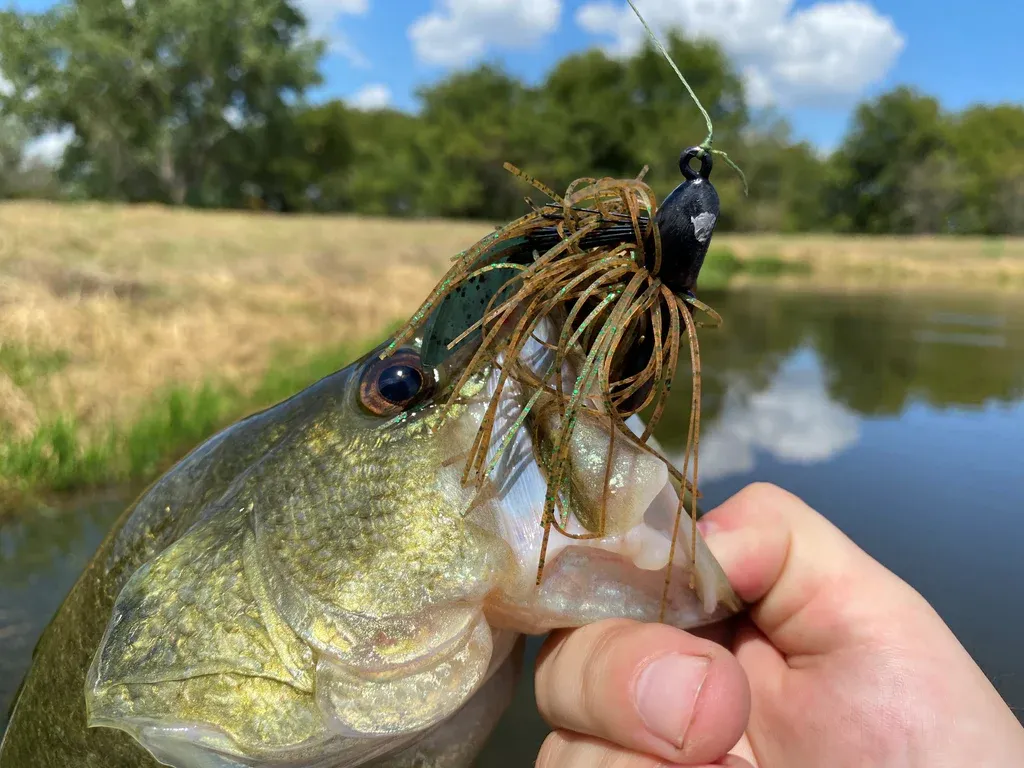 The Jig Best Lures For Largemouth Bass