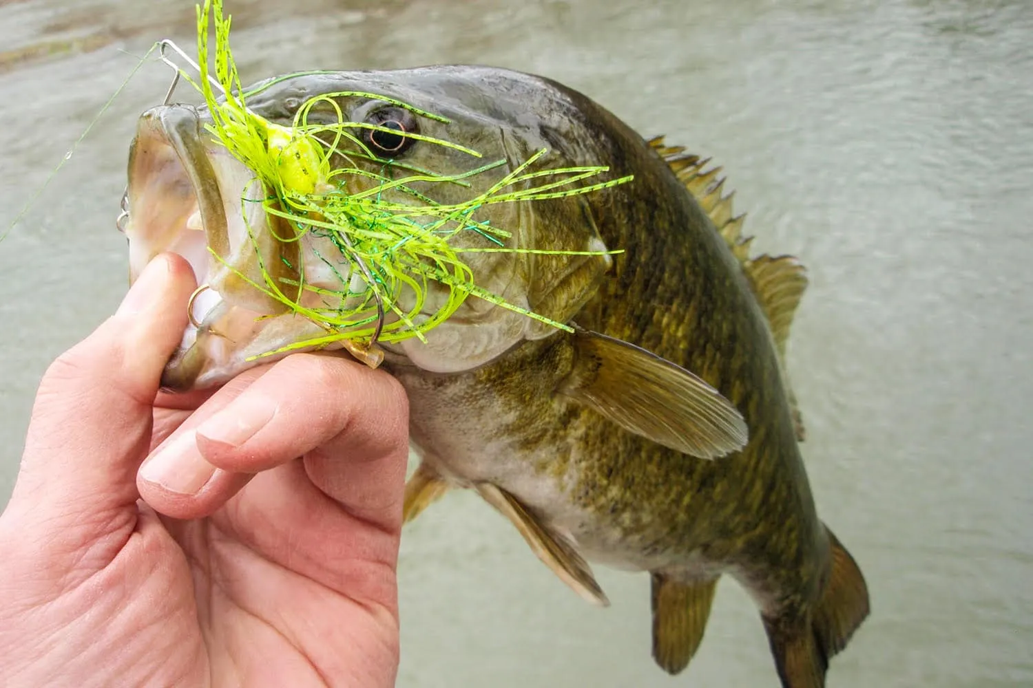 War Eagle Double Willow Best Smallmouth Bass Lure
