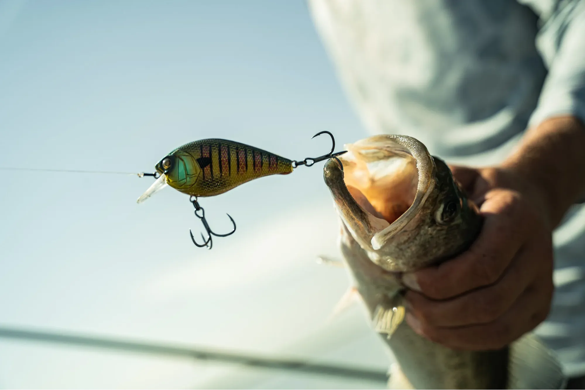 Best Lures for Smallmouth Bass Squarebill Crankbait