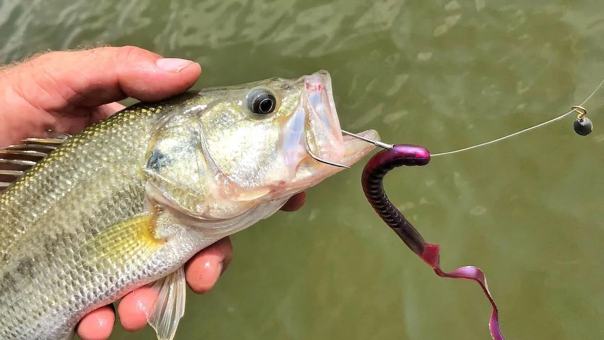 post-The Ultimate Guide to the Best Hooks for Bass Fishing