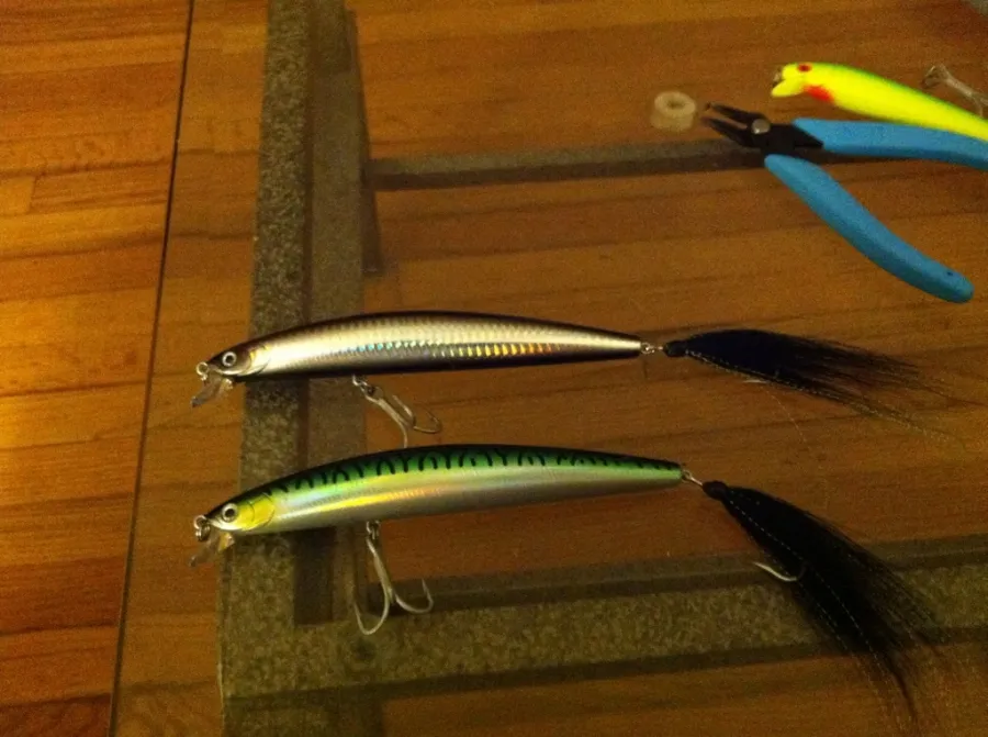 Daiwa SP Minnow fishing lures striped bass