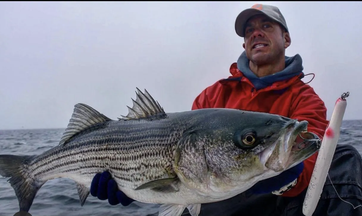 Gibbs Danny Surface Swimmer best lures for striped bass fishing