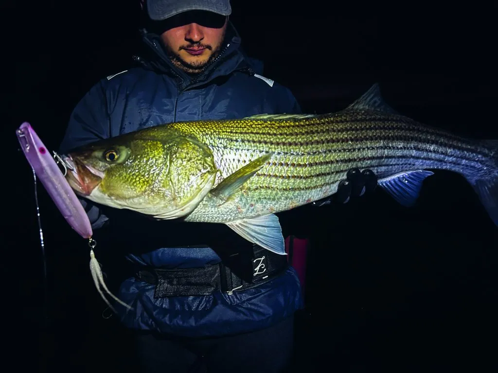 Super Strike ZigZag Darter lures for striped bass