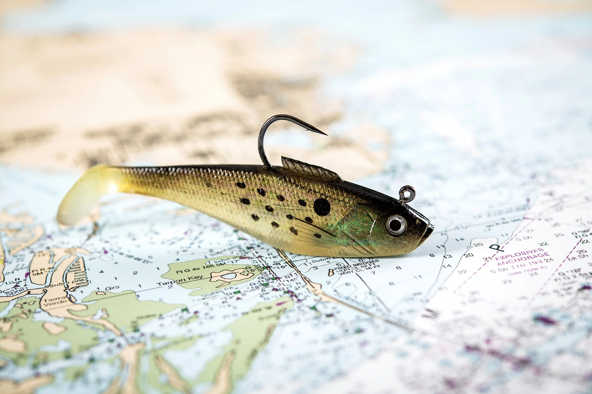 Tsunami Pro Swim Shad lures for striped bass fishing