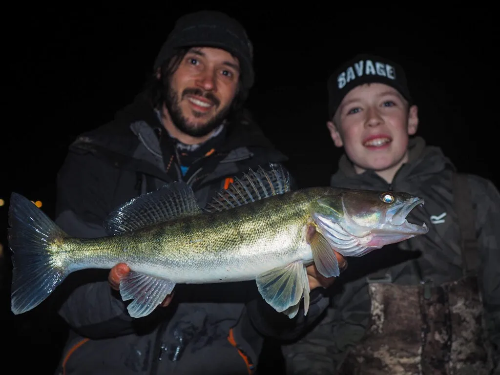 best time go bass fishing in summer: Late Evening