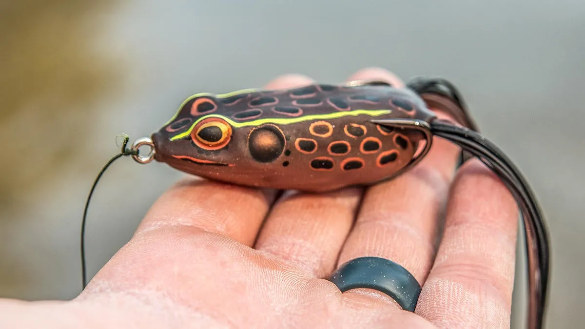 Booyah Pad Crasher topwater lure for bass