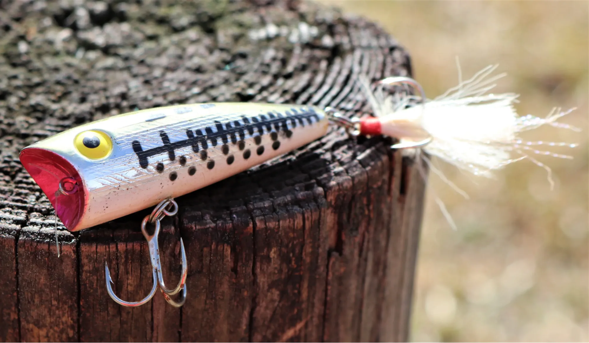 Rebel Pop-R lure for topwater bass fishing