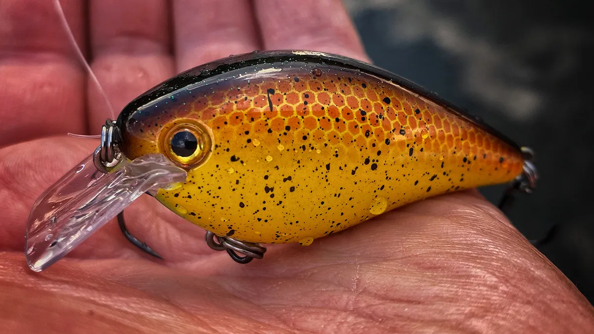 Strike King KVD 1.5 Squarebill