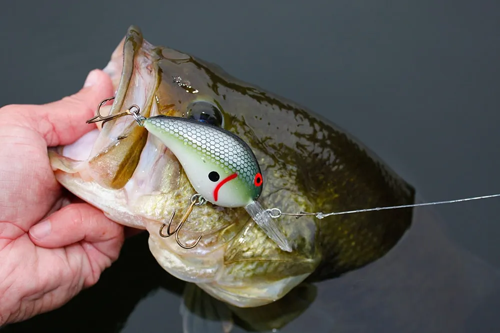 Deflecting Squarebill Crankbaits Off Cover