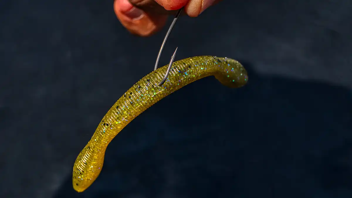 Direct hook: How to Rig a Wacky Worm the Right Way