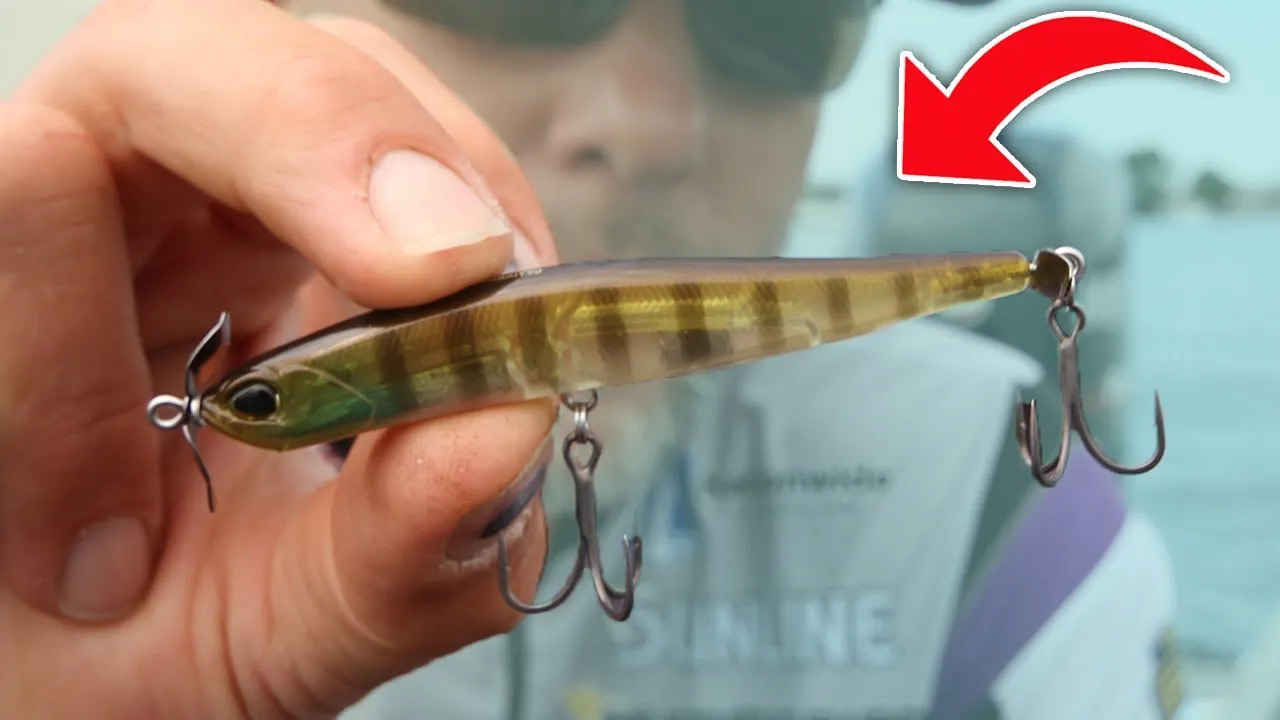When and Where to Use a Spybait