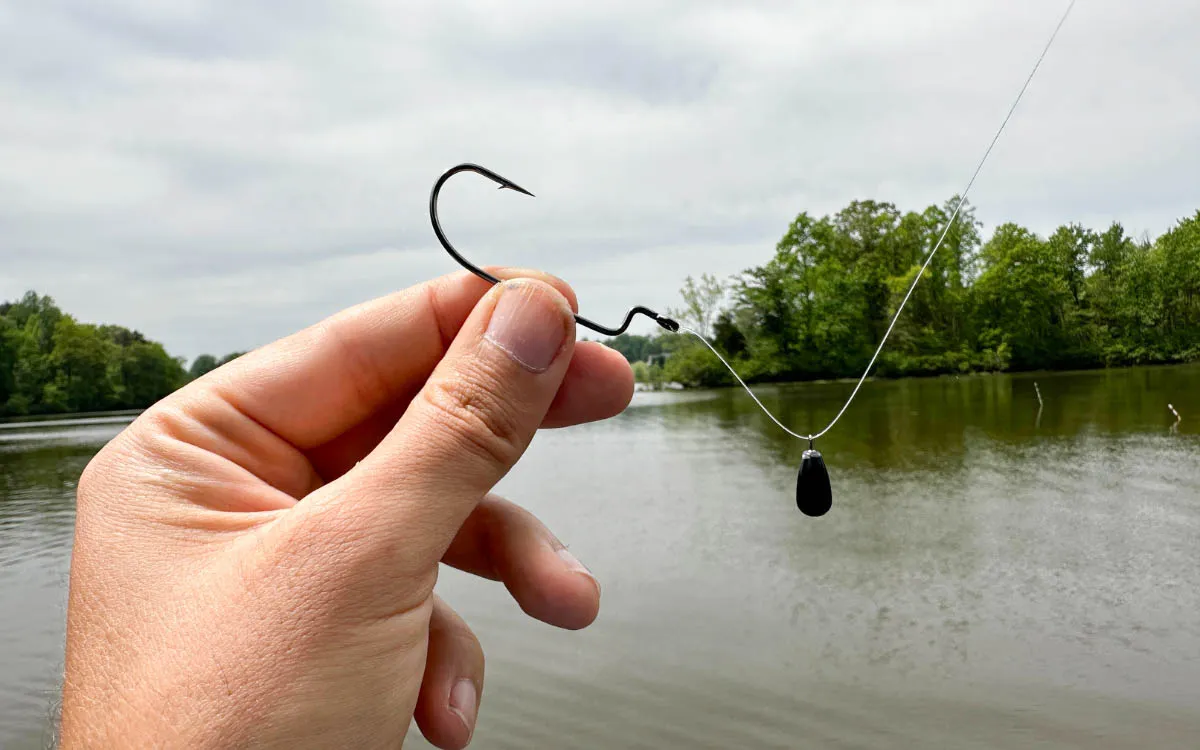Hook Essential Gear for a Perfect Free Rig Setup
