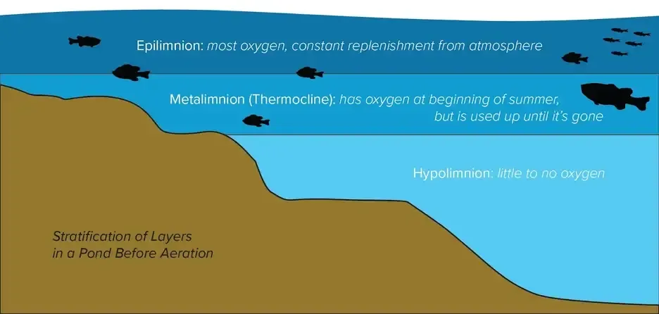 thermocline where to fish bass in summer