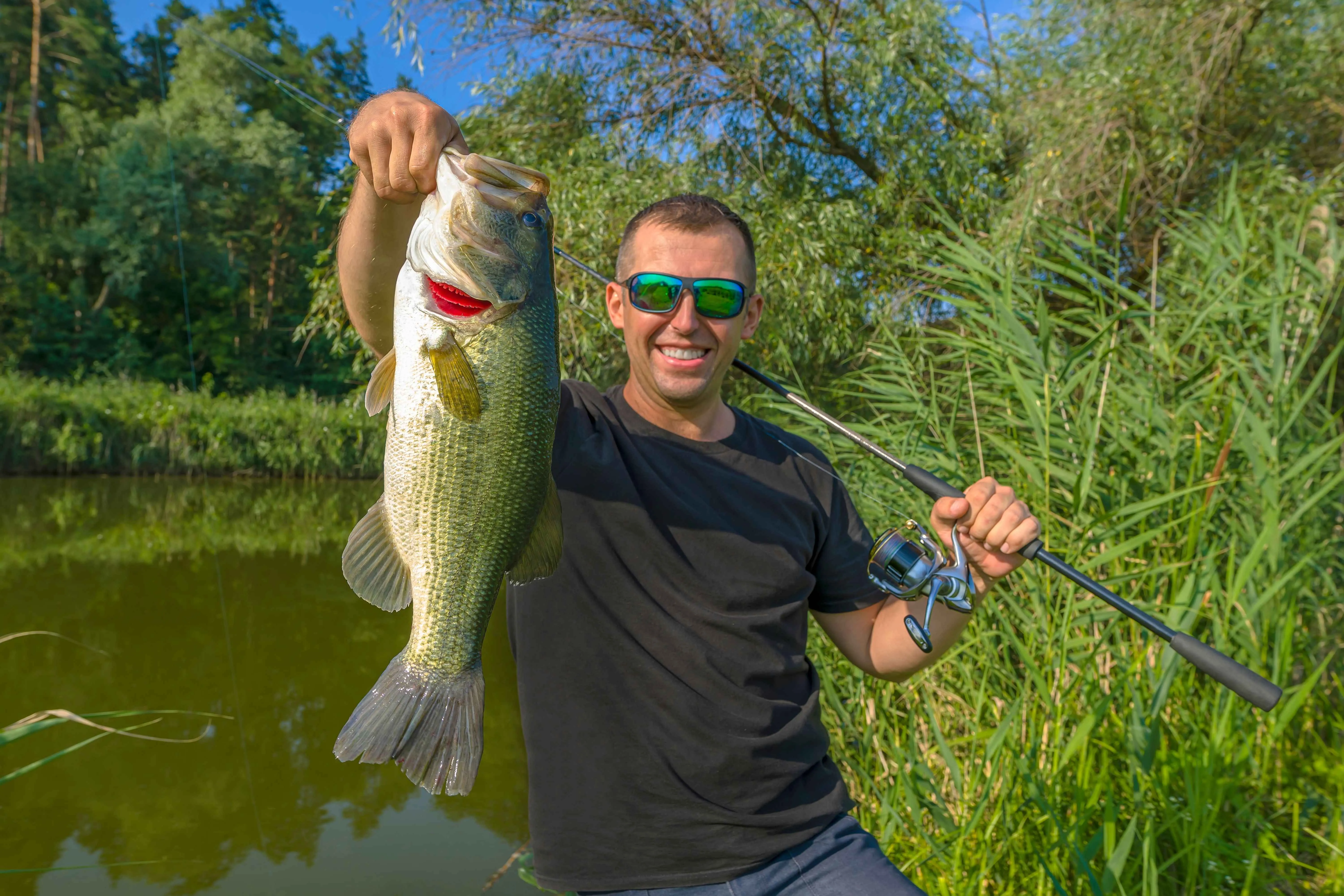 post-Fishing for Bass in Summer: An Angler's Complete Guide