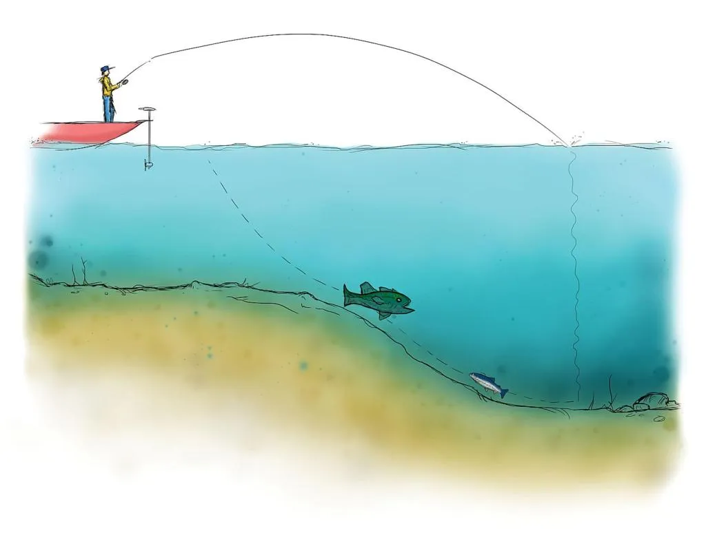 Flats & Humps best structure for fall bass