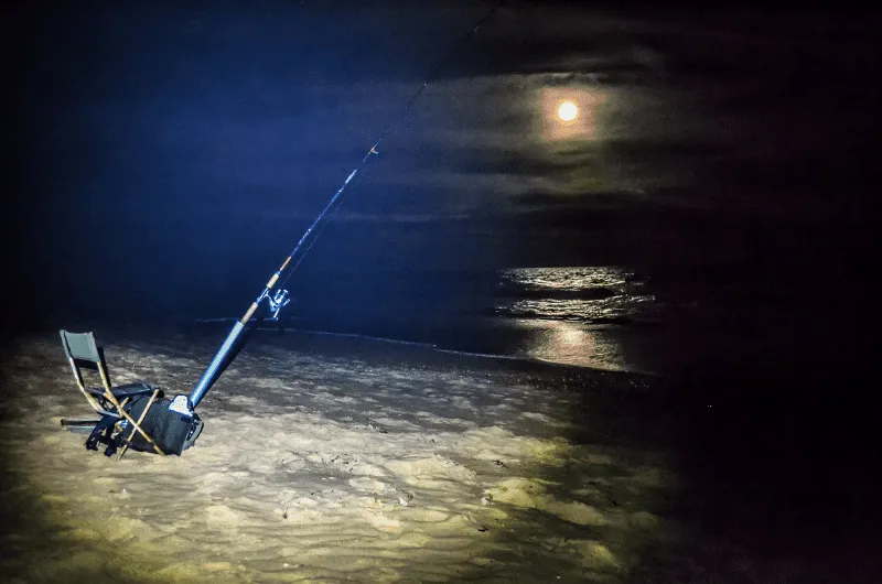 gear for bass fishing at night