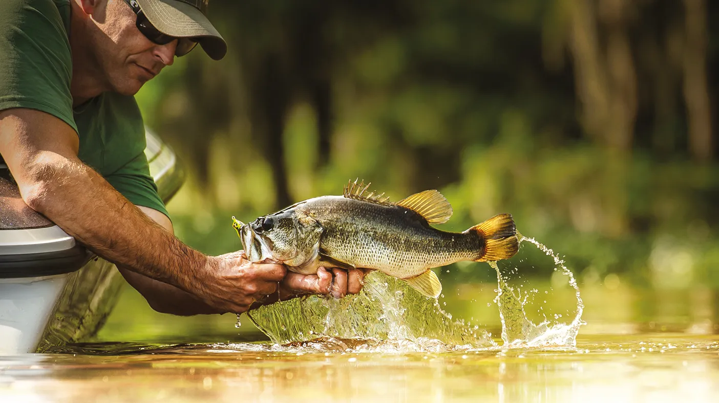 bass fishing techniques effect on how to fish for bass