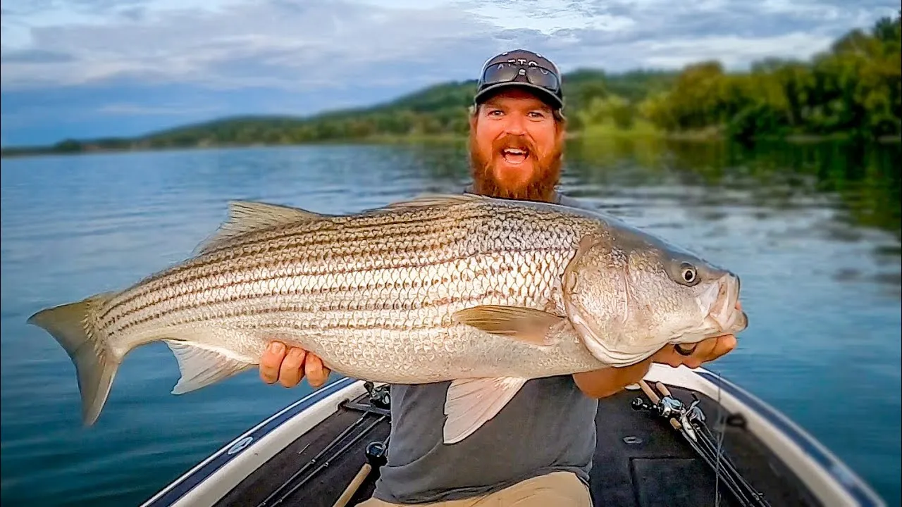 post-How to Fish for Striped Bass: The Complete Guide (2025)